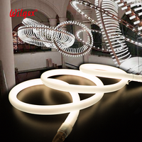 Prise UE Prise UK Prise US Flexible RVB LED Néon Flex Haute Tension LED Bande Neo Flex Éclairage 360 Degrés Rond D18mm 24V 120V 230V