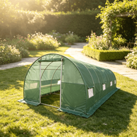 Serre tunnel 10x30 pieds : structure en acier galvanisé et couverture en PE, abri de jardin robuste pour plantes