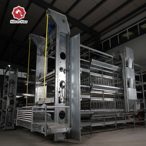Bạc Sao Sản Xuất Pin H Loại Gà Thịt Lồng/Gà Thịt Nuôi Lồng - Product Image 4