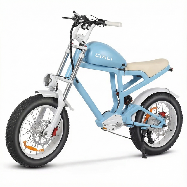 CIALI 48v 750w 19.2ah Japan Ebike Bicicletta Women 20x4inch All Terrain Electric Bike Vintage Motorcycle Ebike