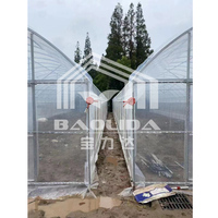 Betaalbare prijs Tuin Natuurlijk Gegalvaniseerd Staal Frame Tunnel Poly PE Folie Enkelspan Kas te Koop
