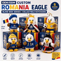 Porte-clés en peluche personnalisé Aigle de Roumanie Euro Football, Boîte Mystère, Vente en Gros, OEM ODM, Animal en Peluche, Jouet Mystère de Collection, Cadeau pour Fans