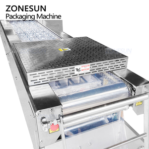 Máquina de Envasado al Vacío ZONESUN ZS-VPK420, Servoautomática, para Formar Película Estirable para Alimentos, Termoformado y Sellado por Calor - Product Image 3