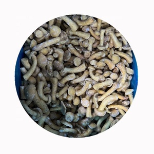 Hongos <span class=keywords><strong>Nameko</strong></span> Congelados IQF a Precio de Mayoreo, Cultivados, Grado A, Orgánicos, Saludables, Naturales, Nutritivos, Venta Directa de Fábrica - Product Image 2
