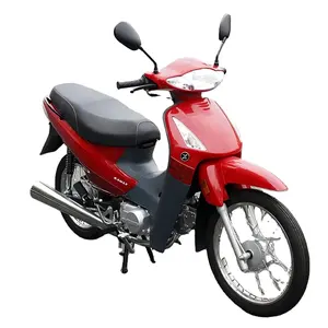 Eec High Power 2000w Gasoline Motorcycle Scooter Load Moped Mini Moto Long Range Petrol Motorcycles Delivery Scooter
