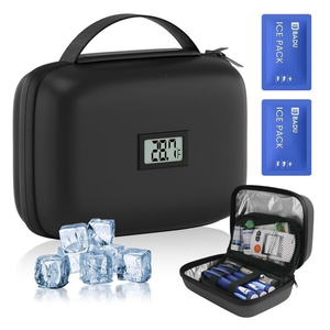 Sac de rangement isotherme portable avec logo personnalisé, mini-conteneur organisateur pour la maison, les voyages et le transport quotidien - Product Image 2