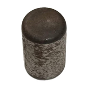 Pompa dell'Olio Codice 501043 - Product Image 1