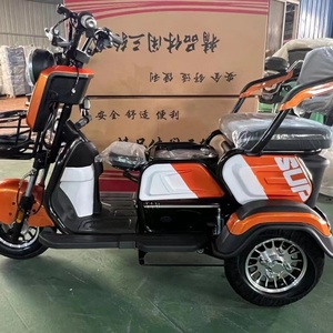 Tricycle Électrique Motorisé à Trois Roues 800W 60V pour Passagers, Type Carrosserie Ouverte, pour Personnes Âgées, Capacité 200kg - Product Image 5