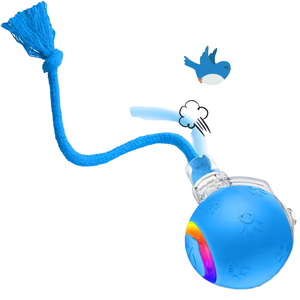 신상품 USB 충전식 스마트 고양이 장난감, 반려동물을 위한 새소리 나는 인터랙티브 실리콘 롤링 토이 - Product Image 4