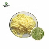 Extrait de Lichen Usnea en Poudre 10:1, Extrait Herbal d'Usnea Barbata par Extraction par Solvant, Qualité Alimentaire pour Compléments Alimentaires