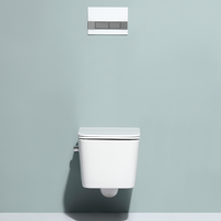 Toilette carrée de qualité moderne, toilette avec bidet intégré, bol et bidet intégré