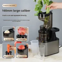 Roestvrijstalen sapcentrifuge Volautomatische multifunctionele sapafscheider voor groentenresten Sapmachine Fruit- en groentegereedschap