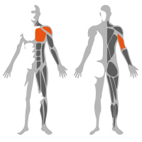 Appareil de musculation professionnel en acier pour exercices de développement pectoral, marque HK, modèle HKMB-S-1068N - Product Image 6