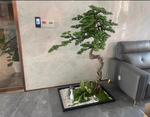<span class=keywords><strong>Vendita</strong></span> Diretta dalla Fabbrica Piante Vive <span class=keywords><strong>Bonsai</strong></span> <span class=keywords><strong>da</strong></span> <span class=keywords><strong>Interno</strong></span> Alberi di Pino Artificiali per Decorazione Domestica - Product Image 2