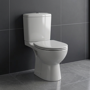 WC monobloc en céramique économique à chasse siphonique, siphon en P, forme carrée, Vistaar India, pour salle de bain - Product Image 2
