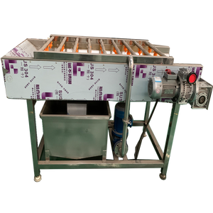 Fournisseur de machines à laver les légumes à rouleaux brosse, haute capacité, à économie d'énergie, pour le lavage et le pelage des pommes de terre - Product Image 2