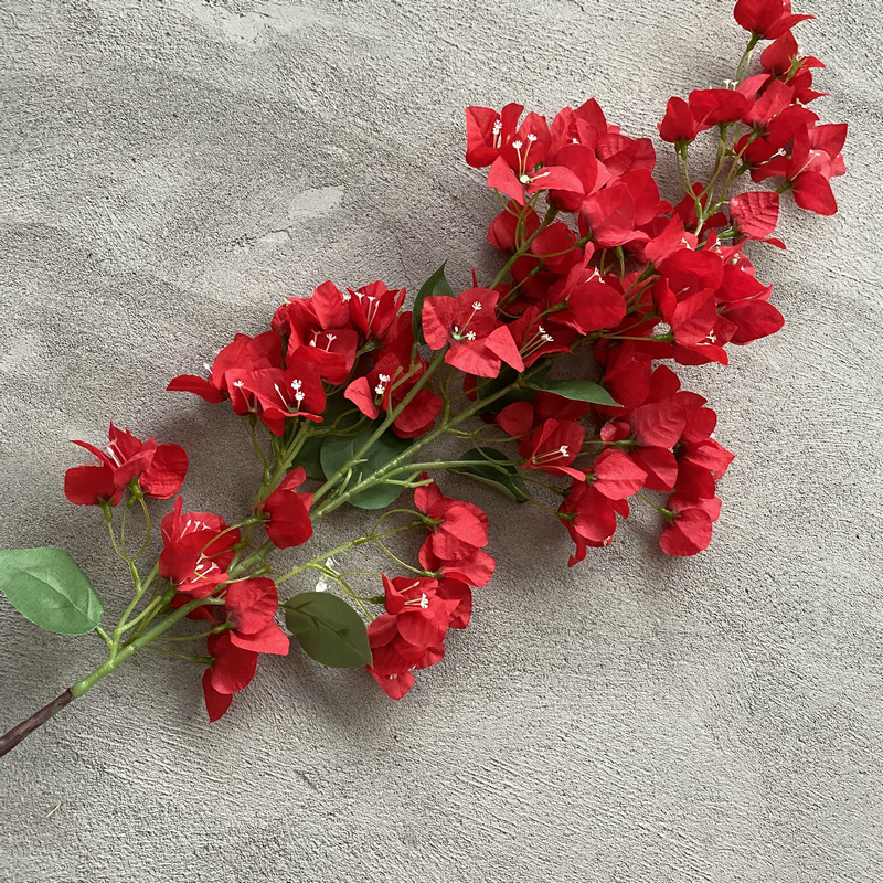Rouge, Grand#2