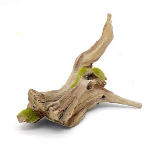 <span class=keywords><strong>Aquarium</strong></span> Ornamenten Boom Drift Hout Decoratie Voor <span class=keywords><strong>Aquarium</strong></span> Landschapsarchitectuur - Product Image 6