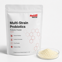 Poudre de probiotiques lyophilisés de qualité alimentaire Bacillus Coagulans Service OEM Certifié GMP Approvisionnement en vrac