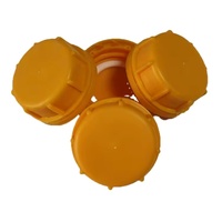 Tapas de tapa de 5 galones Jerry Can 60mm en venta