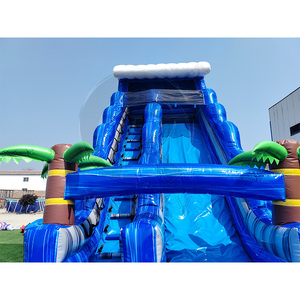 Tobogán Acuático Inflable Comercial de PVC Iridiscente Tropical, Combo de Tobogán y Piscina Gigante con Forma de Palmera para Parque Acuático - Product Image 6