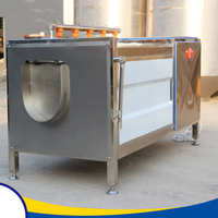Laveuse de légumes multifonctionnelle professionnelle pour restaurants, idéale pour les radis, pommes de terre, carottes, racines de lotus et patates douces