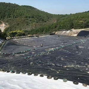 Geomembrana de HDPE de Bajo Precio para Revestimiento de Presas, Estanques de Peces y Vertederos, 0.5mm 0.75mm 1mm 2mm, para Piscicultura, Venta al Por Mayor de Fábrica - Product Image 2