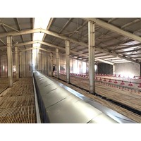 Mangeoires à poulet en PP pour ligne d'alimentation automatique, poulets de chair et équipement avicole, nouveau bac à poussins de caille durable