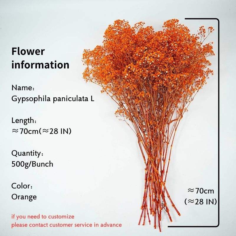 Naranja (cantidad: 500g/manojo) es 28 pulgadas de largo