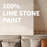 Peinture liquide acrylique effet pierre naturelle pour murs extérieurs et intérieurs – Prévention de la moisissure et de l'humidité par application au pinceau
