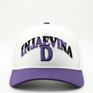 Gorra de Béisbol Personalizada, Gorra Trucker, Gorra de 5 Paneles con Bordado 3D, Gorra Snapback Deportiva Ajustable Unisex - Product Image 1
