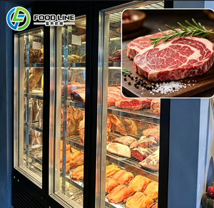 Armoire de maturation à sec pour bœuf, armoire de maturation à sec commerciale, réfrigérateur de maturation à sec pour <span class=keywords><strong>restaurant</strong></span> - Product Image 3