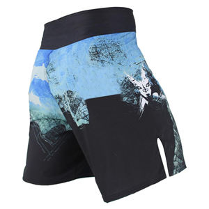 Pantalones Cortos de MMA Unisex de Spandex/Poliéster, Diseño Moderno 2023, Duraderos, de Secado Rápido, Ligeros, de Alta Calidad, con Impresión de Logotipo Personalizado - Product Image 2