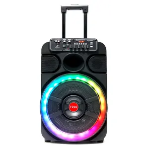 2021 새로운 개인 모델 충전식 전원 DJ 스피커 Led 빛 휴대용 PA 시스템 bt 12 인치 트롤리 스피커