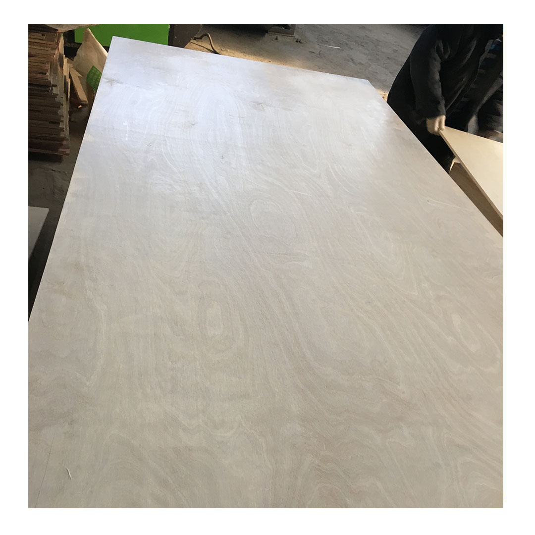 Балтийская Березовая фанера, полная Березовая фанера на продажу 1220*2440 мм