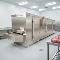 Lyophilisateurs tunnel de haute qualité pour fruits rouges et machines de congélation rapide, utilisés pour les bananes, les avocats et les mangues.