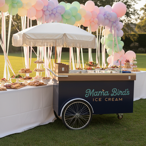 Chariots de vente de glaces artisanales, camions de restauration mobiles à vendre, chariot à pousser à la main, Dubaï - Product Image 1