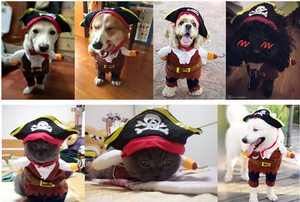 Divertido disfraz de Halloween para mascotas, traje de pirata para perros pequeños, gatos y perros, ropa de Cosplay, disfraz de Halloween, sombrero de pirata - Product Image 5