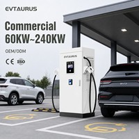 Nouvelle station de recharge pour véhicules électriques DC Chademo IP55 de 60 kW, 120 kW, 240 kW, Ocpp 1.6 Smartev, nouvelle station de recharge commerciale Dlb avec application POS