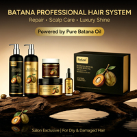 Coffret Cadeau Professionnel OEM Huile de Batana Soin Capillaire Luxe Parfum Longue Durée Shampoing et Après-Shampoing pour Cheveux Secs et Abîmés