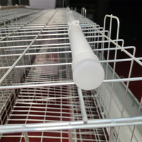 Système de cages à poulets en batterie galvanisé pour l'élevage de volailles, cages à poules pondeuses de type A/H, cages à poulets RTL pour volailles
