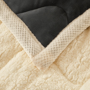 Cálido <span class=keywords><strong>invierno</strong></span> grueso edredón de franela juego de <span class=keywords><strong>cama</strong></span> terciopelo Sherpa Faux Wool Down edredón alternativo edredón - Product Image 4