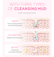 Produits Cosmétiques Coréens en Gros Soins Visage Peau Fleur de Cerisier Masque Facial en Feuille de Boue