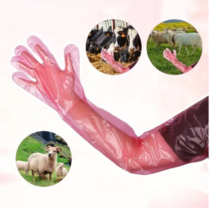 Gants en polyéthylène roses jetables pour salle blanche agricole et examen vétérinaire - Product Image 3