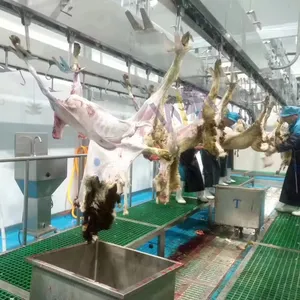 Di alta qualità agnello Ram capra macello pecore sospese linea di sanguinamento automatico per la macellazione di capra macchina