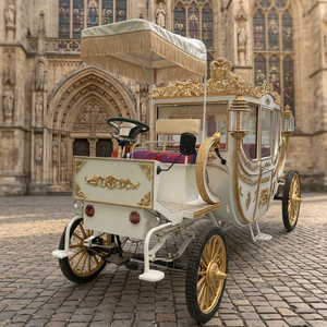 2026 Carrosse de mariage électrique, Carrosse de tourisme sans chevaux, Carrosse royal électrique, Véhicule électrique de type carrosse - Product Image 1