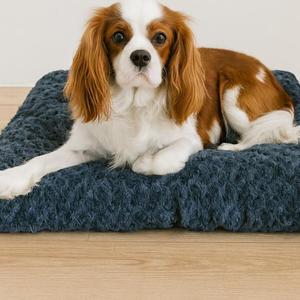 Colchoneta para Perro PetSmart, Suave, Cálida, Lavable, Resistente a Mordidas, para Invierno - Product Image 1