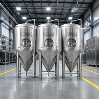 Cuve de Fermentation de Bière en Acier Inoxydable Personnalisable, Conception Conique pour Restaurants, Haute Productivité, Marque HEM