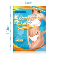 Patch Ventre Plat - Patch à l'Armoise pour Personnes Paresseuses pour Lifting, Remodelage et Amincissement - 10 Patchs/Paquet Tous Types de Peau