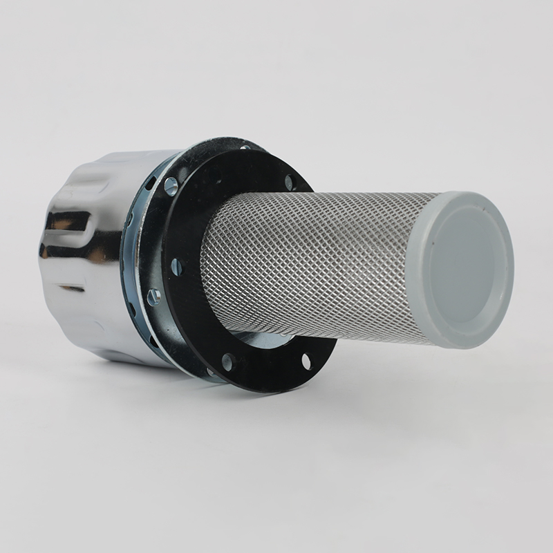 a 2019 nissan rogue sports air breather